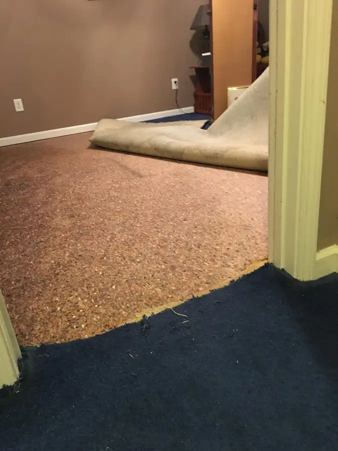 Carpet pad removal revealing water damage during Drying & Dehumidification in Grand Rapids