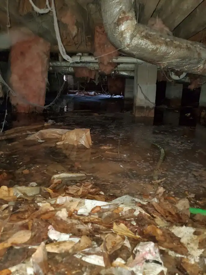 Crawl space flood assessment for Commercial Water Damage Restoration in Grand Rapids